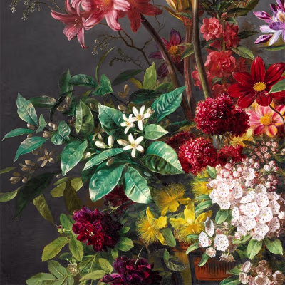 printed rugs collection