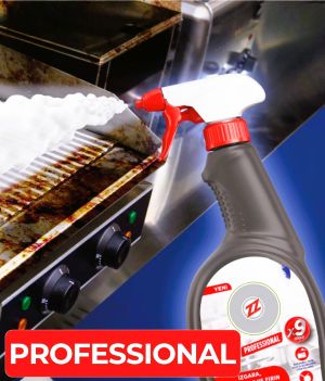 professional detergents manufacturer horeca